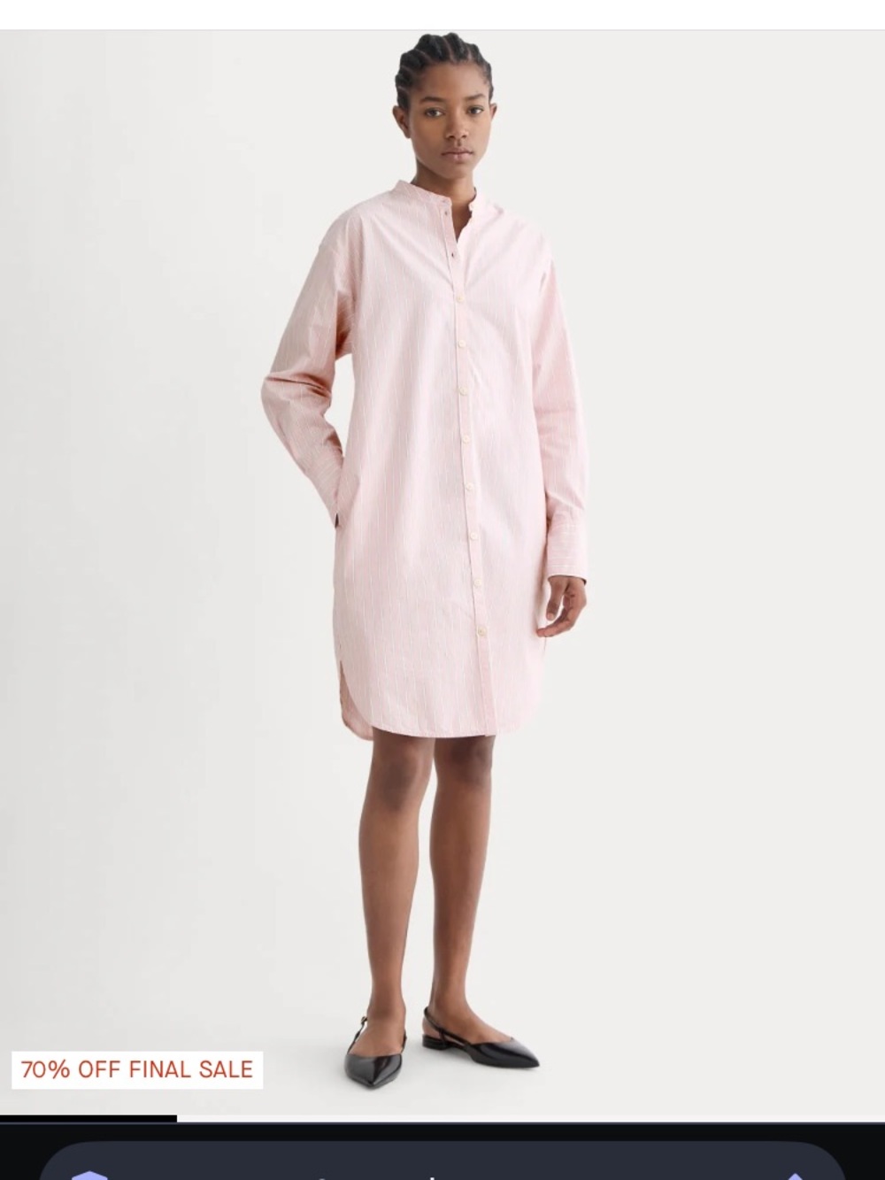 Everlane Pink Stripe Button-Front Shirt Dress